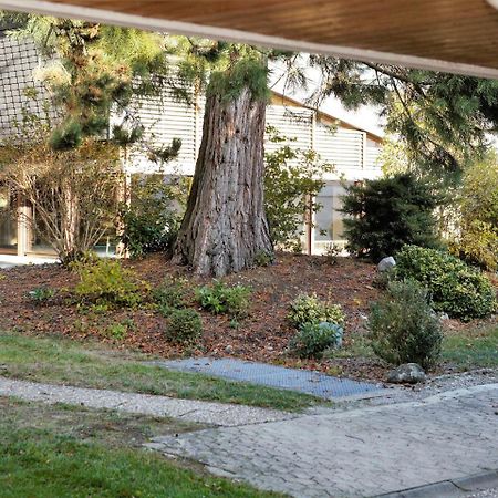 Ferienwohnung Konigsegg Ines Koch Reichenau Exterior photo